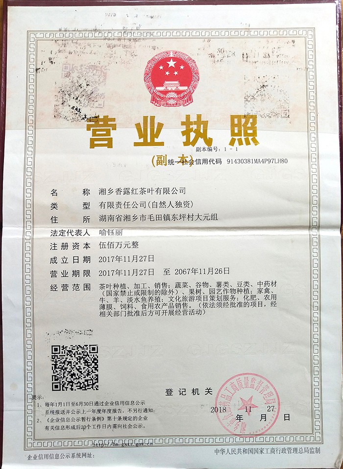 企业法人营业执照