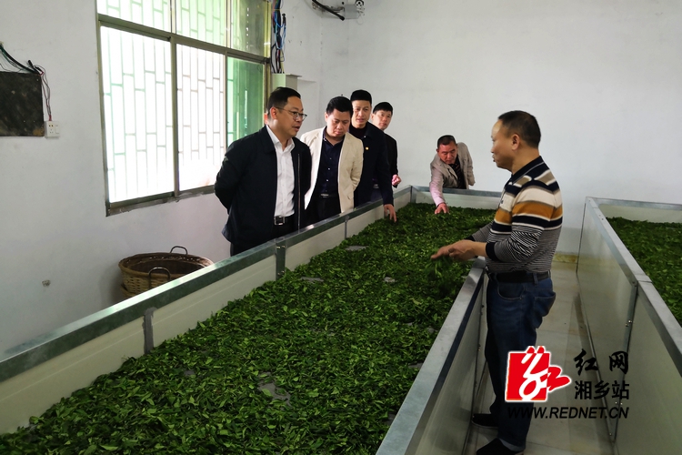 彭瑞林赴毛田镇调研乡村振兴战略实施情况(图2)