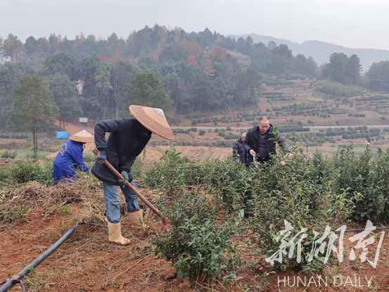 【辉煌十三五】移民“移”出新生活 产业“扶”起新希望(图2)