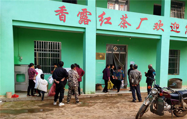 一壶好茶送春来——“精准扶贫企业品牌”香露红(图10)